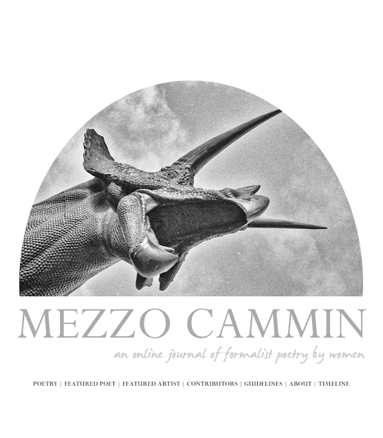 Mezzo Cammin